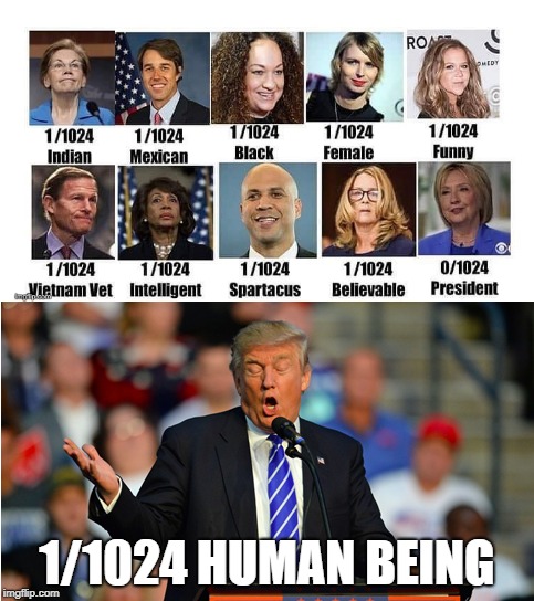 1/1024 HUMAN BEING | made w/ Imgflip meme maker