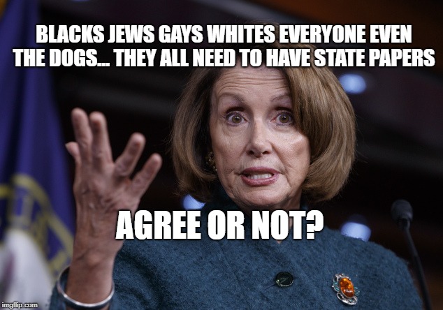 Good old Nancy Pelosi | BLACKS JEWS GAYS WHITES EVERYONE EVEN THE DOGS... THEY ALL NEED TO HAVE STATE PAPERS; AGREE OR NOT? | image tagged in good old nancy pelosi | made w/ Imgflip meme maker
