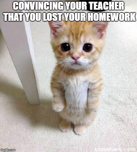 Cute Cat Meme | CONVINCING YOUR TEACHER THAT YOU LOST YOUR HOMEWORK | image tagged in memes,cute cat | made w/ Imgflip meme maker