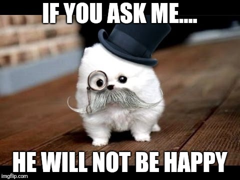 If You Ask Me (Dog) | IF YOU ASK ME.... HE WILL NOT BE HAPPY | image tagged in if you ask me dog | made w/ Imgflip meme maker