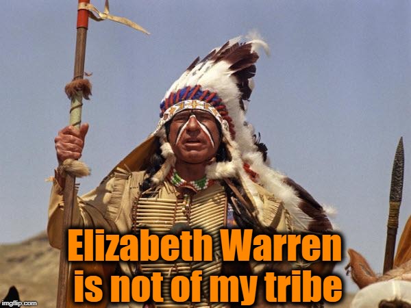 Indian Chief | Elizabeth Warren is not of my tribe | image tagged in indian chief | made w/ Imgflip meme maker