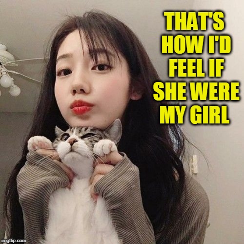 Like Putty in Her Hands | THAT'S HOW I'D FEEL IF SHE WERE MY GIRL | image tagged in vince vance,pretty asian girl,cats,asian girl with red lips,girl holding a cat,beautiful girl | made w/ Imgflip meme maker