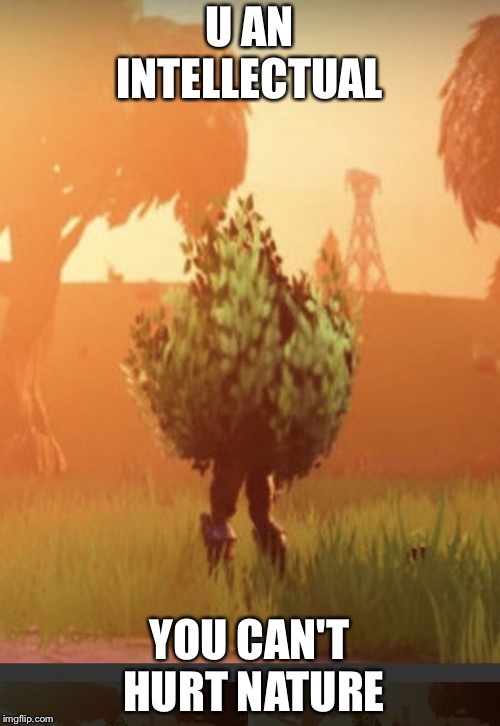 Fortnite bush | U AN INTELLECTUAL; YOU CAN'T HURT NATURE | image tagged in fortnite bush | made w/ Imgflip meme maker