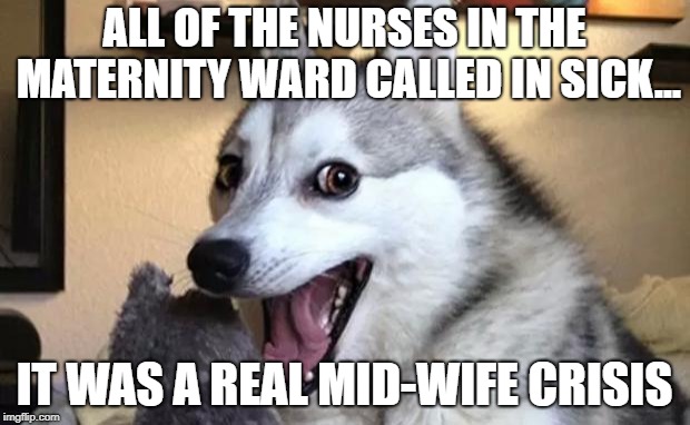 Pun dog - husky | ALL OF THE NURSES IN THE MATERNITY WARD CALLED IN SICK... IT WAS A REAL MID-WIFE CRISIS | image tagged in pun dog - husky | made w/ Imgflip meme maker