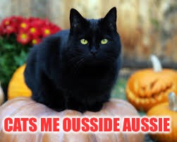 CATS ME OUSSIDE AUSSIE | made w/ Imgflip meme maker