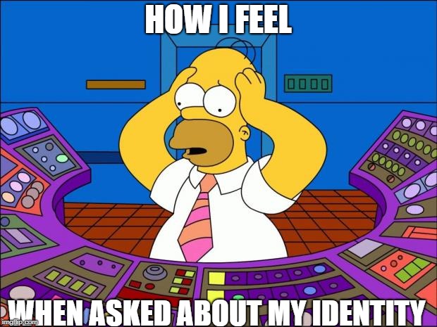 Homer Panic | HOW I FEEL; WHEN ASKED ABOUT MY IDENTITY | image tagged in homer panic | made w/ Imgflip meme maker