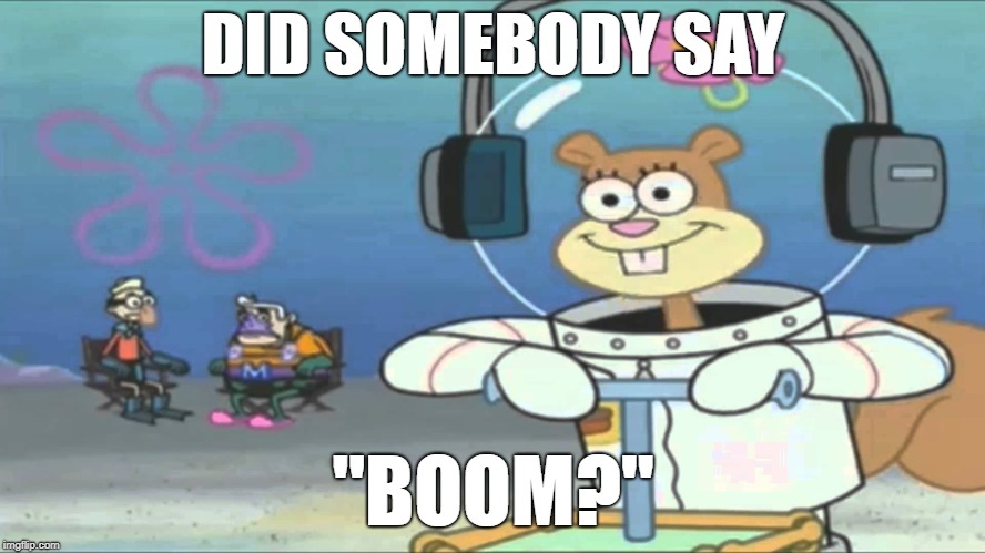 Did somebody say BOOM? | DID SOMEBODY SAY; "BOOM?" | image tagged in did somebody say boom | made w/ Imgflip meme maker
