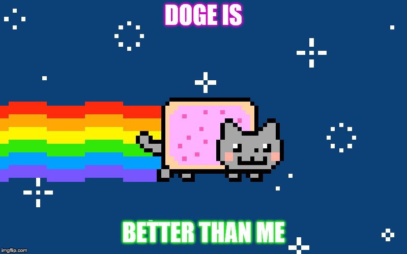 LITTLE KITTY | DOGE IS; BETTER THAN ME | image tagged in meow | made w/ Imgflip meme maker