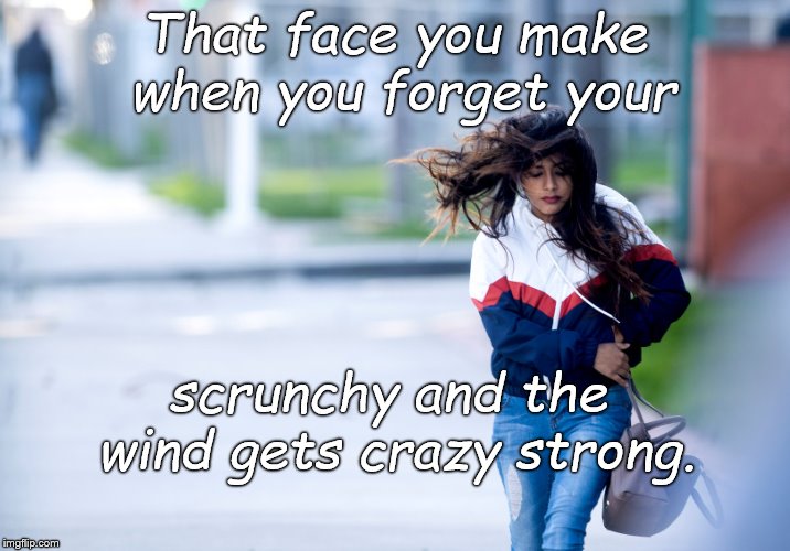 Oh-oh! (Photo from the Orange County Register by Paul Bersebach.)  | That face you make when you forget your; scrunchy and the wind gets crazy strong. | image tagged in high winds,wind whips,hair flying,paul bersebach,do what you can to stop piracy,douglie | made w/ Imgflip meme maker