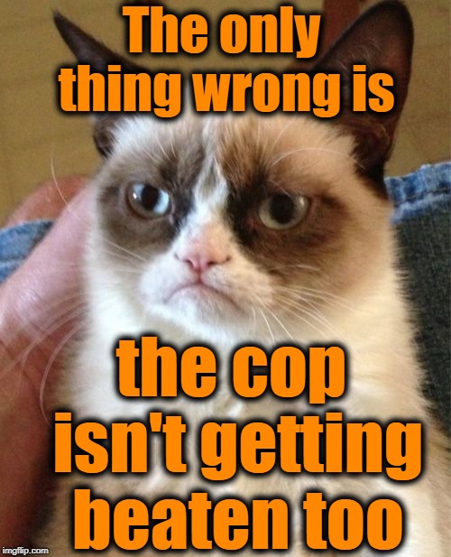 Grumpy Cat Meme | The only thing wrong is the cop isn't getting beaten too | image tagged in memes,grumpy cat | made w/ Imgflip meme maker