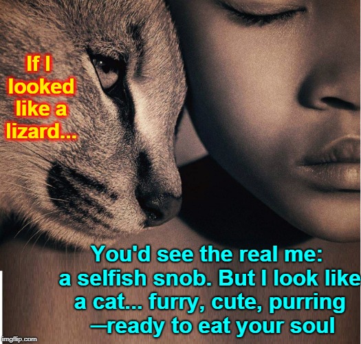 50 Shades of Feline:  #49 | If I looked like a lizard... You'd see the real me: a selfish snob. But I look like a cat... furry, cute, purring     ─ready to eat your soul | image tagged in vince vance,cats,cats are evil,cats with an agenda,what cats think,my cat was a creature from outer space | made w/ Imgflip meme maker