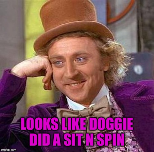 Creepy Condescending Wonka Meme | LOOKS LIKE DOGGIE DID A SIT N SPIN | image tagged in memes,creepy condescending wonka | made w/ Imgflip meme maker