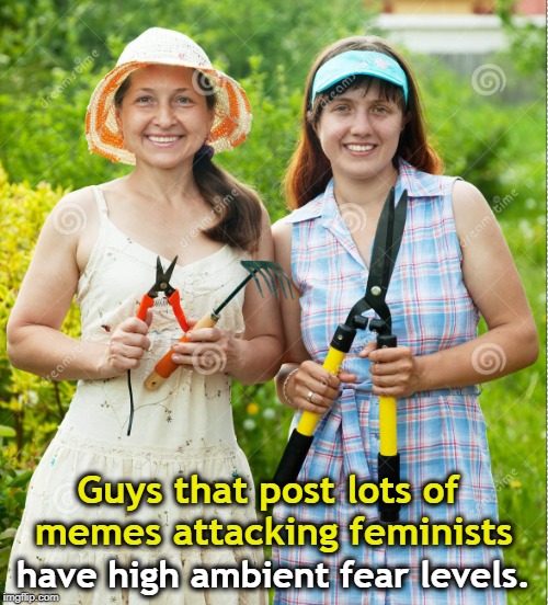 Guys that post lots of memes attacking feminists; have high ambient fear levels. | image tagged in triggered feminist,triggered liberal,scissors,fear | made w/ Imgflip meme maker
