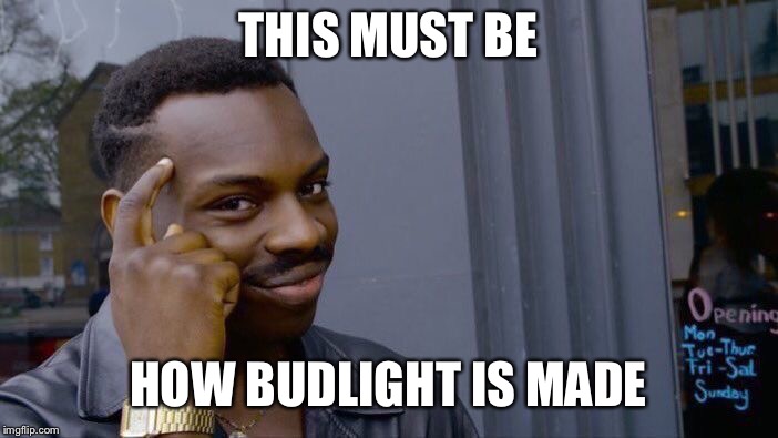 Roll Safe Think About It Meme | THIS MUST BE HOW BUDLIGHT IS MADE | image tagged in memes,roll safe think about it | made w/ Imgflip meme maker