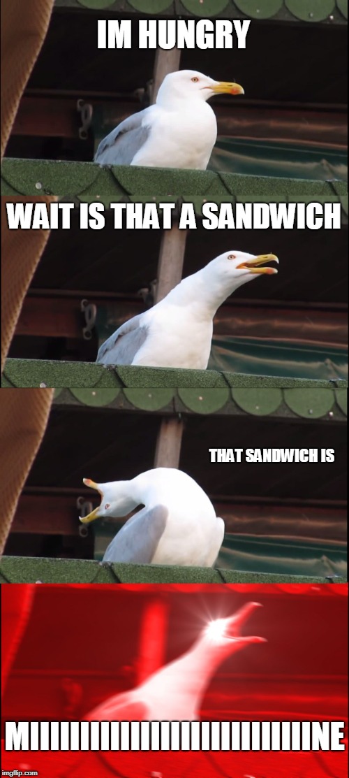 Inhaling Seagull Meme | IM HUNGRY; WAIT IS THAT A SANDWICH; THAT SANDWICH IS; MIIIIIIIIIIIIIIIIIIIIIIIIIIIINE | image tagged in memes,inhaling seagull | made w/ Imgflip meme maker