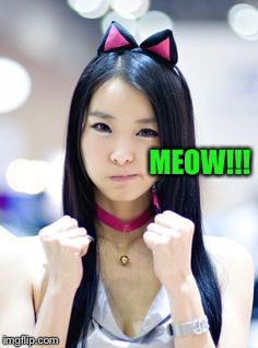 MEOW!!! | made w/ Imgflip meme maker