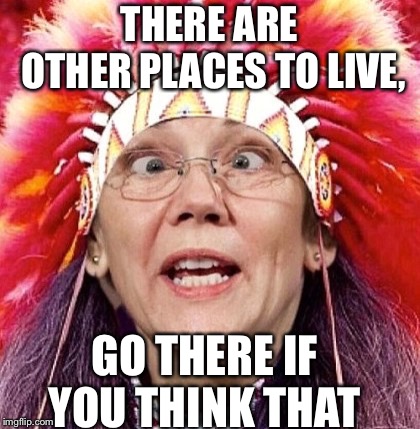 Elizabeth Warren | THERE ARE OTHER PLACES TO LIVE, GO THERE IF YOU THINK THAT | image tagged in elizabeth warren | made w/ Imgflip meme maker