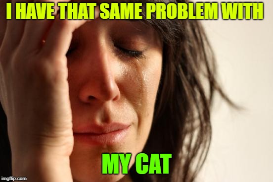 First World Problems Meme | I HAVE THAT SAME PROBLEM WITH MY CAT | image tagged in memes,first world problems | made w/ Imgflip meme maker