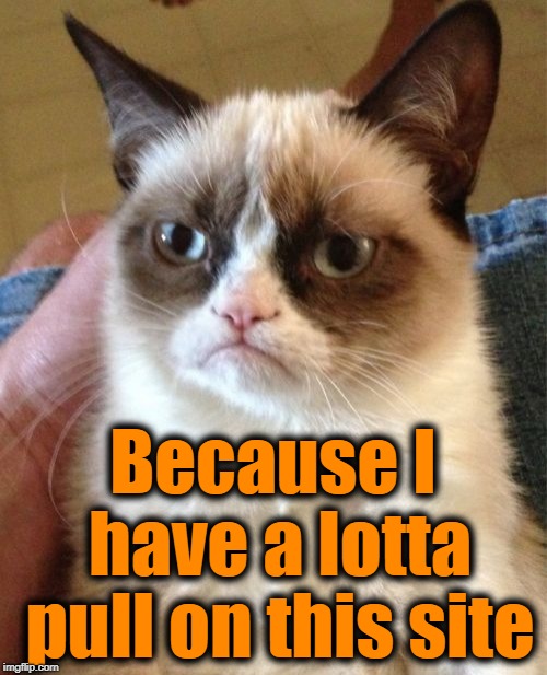Grumpy Cat Meme | Because I have a lotta pull on this site | image tagged in memes,grumpy cat | made w/ Imgflip meme maker