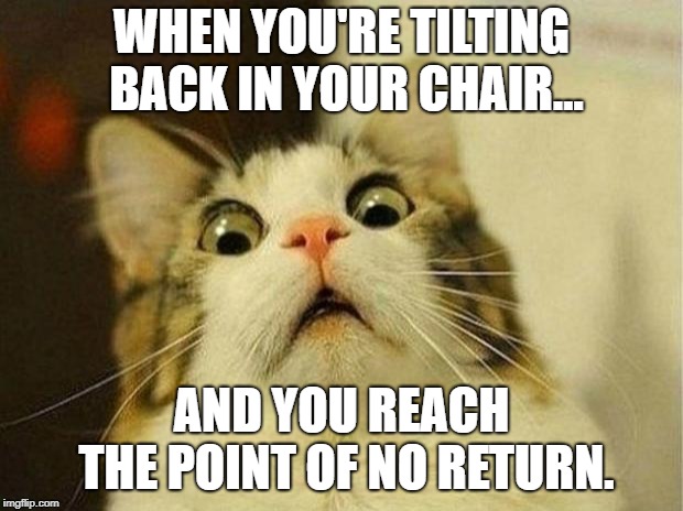 Scared Cat Meme | WHEN YOU'RE TILTING BACK IN YOUR CHAIR... AND YOU REACH THE POINT OF NO RETURN. | image tagged in memes,scared cat | made w/ Imgflip meme maker