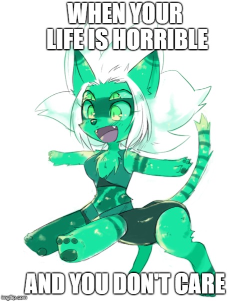 Yes | WHEN YOUR LIFE IS HORRIBLE; AND YOU DON'T CARE | image tagged in idk | made w/ Imgflip meme maker
