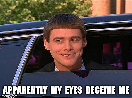 jim carrey meme  | APPARENTLY  MY  EYES  DECEIVE  ME | image tagged in jim carrey meme | made w/ Imgflip meme maker