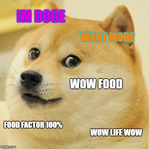 this is doge | IM DOGE; WANT MORE; WOW FOOD; FOOD FACTOR 100%; WOW LIFE WOW | image tagged in memes,doge | made w/ Imgflip meme maker