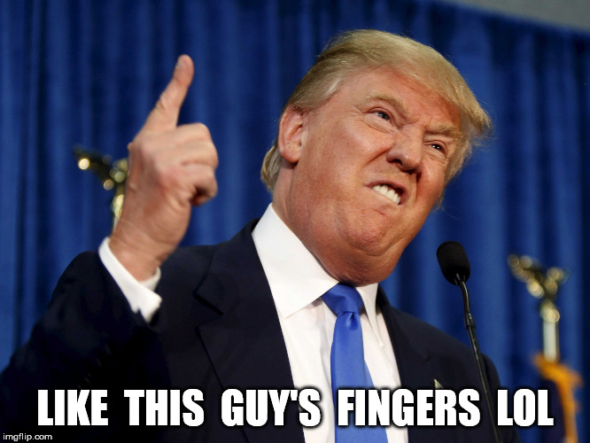 trump finger | LIKE  THIS  GUY'S  FINGERS  LOL | image tagged in trump finger | made w/ Imgflip meme maker