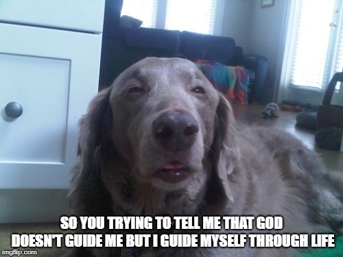 High Dog Meme | SO YOU TRYING TO TELL ME THAT GOD DOESN'T GUIDE ME BUT I GUIDE MYSELF THROUGH LIFE | image tagged in memes,high dog | made w/ Imgflip meme maker