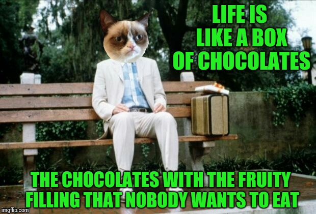 Grumpy Gump  | LIFE IS LIKE A BOX OF CHOCOLATES; THE CHOCOLATES WITH THE FRUITY FILLING THAT NOBODY WANTS TO EAT | image tagged in memes,grumpy gump | made w/ Imgflip meme maker