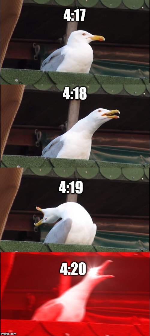 Inhaling Seagull | 4:17; 4:18; 4:19; 4:20 | image tagged in memes,inhaling seagull | made w/ Imgflip meme maker
