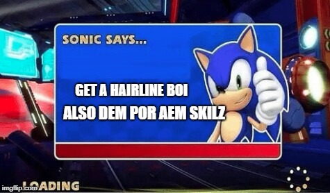 Sonic Says | GET A HAIRLINE BOI; ALSO DEM POR AEM SKILZ | image tagged in sonic says | made w/ Imgflip meme maker