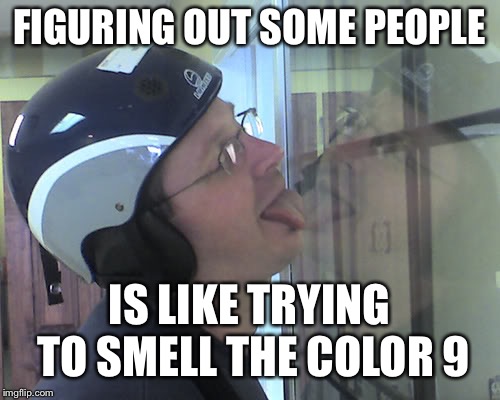 Window Licker | FIGURING OUT SOME PEOPLE; IS LIKE TRYING TO SMELL THE COLOR 9 | image tagged in window licker | made w/ Imgflip meme maker