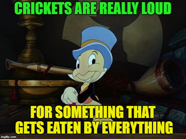 So it has been said |  CRICKETS ARE REALLY LOUD; FOR SOMETHING THAT GETS EATEN BY EVERYTHING | image tagged in jiminy cricket,loud,eaten,everything,memes,funny | made w/ Imgflip meme maker