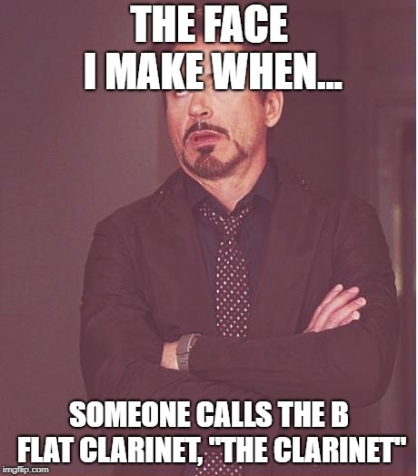Bb clarinet, not the clarinet! | THE FACE I MAKE WHEN... SOMEONE CALLS THE B FLAT CLARINET, "THE CLARINET" | image tagged in memes,face you make robert downey jr,clarinet | made w/ Imgflip meme maker