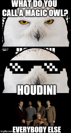 Dumb owl puns | WHAT DO YOU CALL A MAGIC OWL? HOUDINI; EVERYBODY ELSE | image tagged in memes,funny,retarded | made w/ Imgflip meme maker