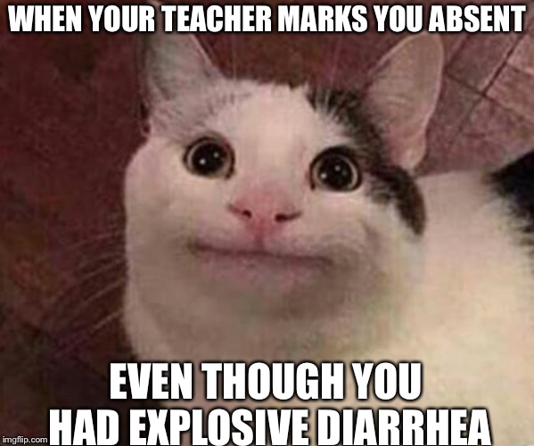 Human cat | WHEN YOUR TEACHER MARKS YOU ABSENT; EVEN THOUGH YOU HAD EXPLOSIVE DIARRHEA | image tagged in human cat,cat | made w/ Imgflip meme maker