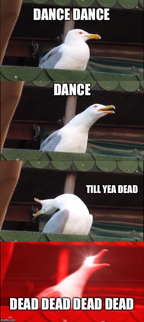 Inhaling Seagull | DANCE DANCE; DANCE; TILL YEA DEAD; DEAD DEAD DEAD DEAD | image tagged in memes,inhaling seagull | made w/ Imgflip meme maker