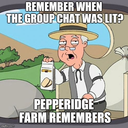 Pepperidge Farm Remembers Meme |  REMEMBER WHEN THE GROUP CHAT WAS LIT? PEPPERIDGE FARM REMEMBERS | image tagged in memes,pepperidge farm remembers | made w/ Imgflip meme maker