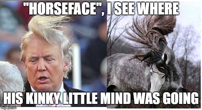 horseface | "HORSEFACE", I SEE WHERE; HIS KINKY LITTLE MIND WAS GOING | image tagged in political,donald trump approves | made w/ Imgflip meme maker