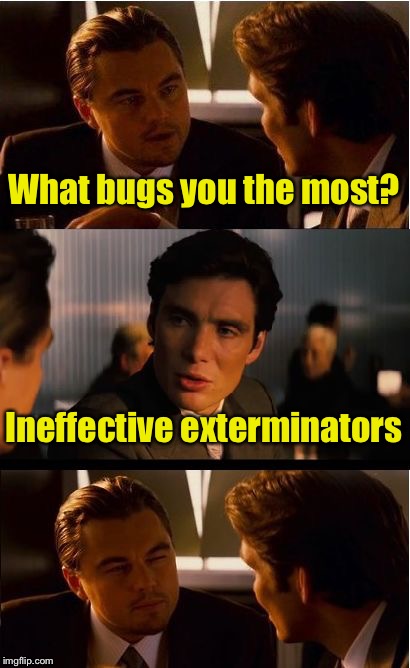 Bug Pun | What bugs you the most? Ineffective exterminators | image tagged in memes,inception,bugs | made w/ Imgflip meme maker