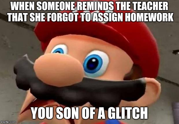 Mario WTF | WHEN SOMEONE REMINDS THE TEACHER THAT SHE FORGOT TO ASSIGN HOMEWORK; YOU SON OF A GLITCH | image tagged in mario wtf | made w/ Imgflip meme maker