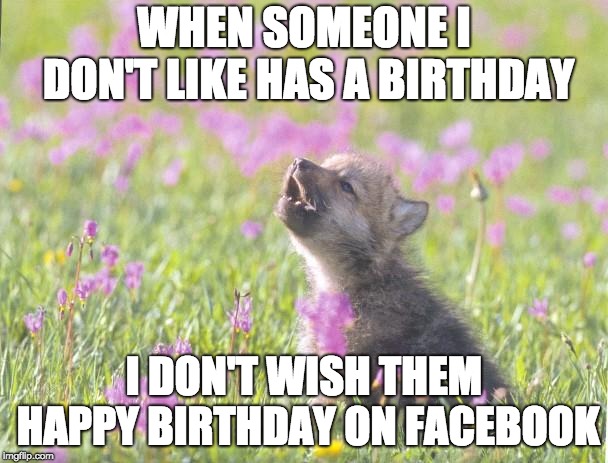 Baby Insanity Wolf Meme | WHEN SOMEONE I DON'T LIKE HAS A BIRTHDAY; I DON'T WISH THEM HAPPY BIRTHDAY ON FACEBOOK | image tagged in memes,baby insanity wolf | made w/ Imgflip meme maker