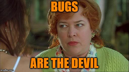 Waterboy Kathy Bates Devil | BUGS ARE THE DEVIL | image tagged in waterboy kathy bates devil | made w/ Imgflip meme maker