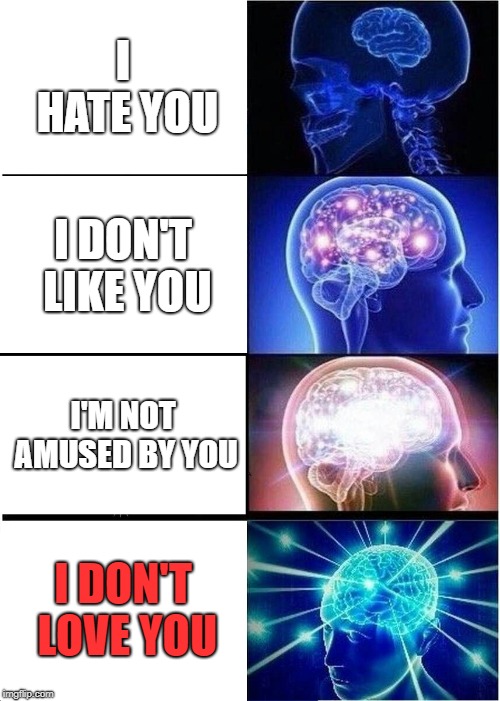 Expanding Brain | I HATE YOU; I DON'T LIKE YOU; I'M NOT AMUSED BY YOU; I DON'T LOVE YOU | image tagged in memes,expanding brain | made w/ Imgflip meme maker