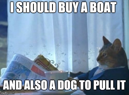 I Should Buy A Boat Cat Meme | I SHOULD BUY A BOAT; AND ALSO A DOG TO PULL IT | image tagged in memes,i should buy a boat cat,cats,dogs,pets,grumpy dog | made w/ Imgflip meme maker