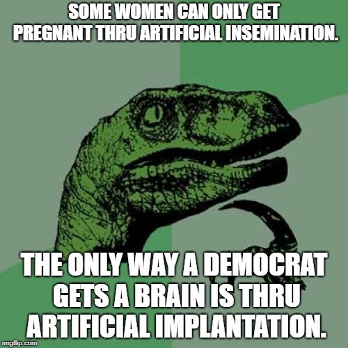 Philosoraptor Meme | SOME WOMEN CAN ONLY GET PREGNANT THRU ARTIFICIAL INSEMINATION. THE ONLY WAY A DEMOCRAT GETS A BRAIN IS THRU ARTIFICIAL IMPLANTATION. | image tagged in memes,philosoraptor | made w/ Imgflip meme maker