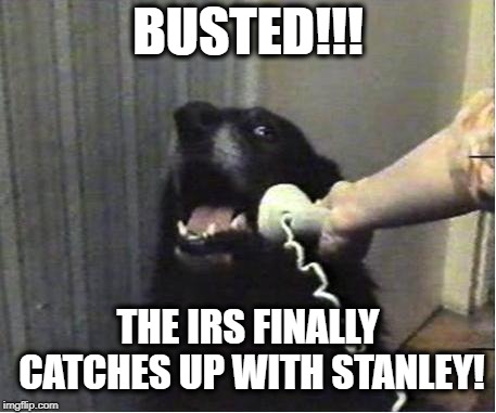 Nowhere to Run | BUSTED!!! THE IRS FINALLY CATCHES UP WITH STANLEY! | image tagged in yes this is dog,taxes,busted,surprise,doomed | made w/ Imgflip meme maker