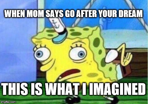 Mocking Spongebob | WHEN MOM SAYS GO AFTER YOUR DREAM; THIS IS WHAT I IMAGINED | image tagged in memes,mocking spongebob | made w/ Imgflip meme maker