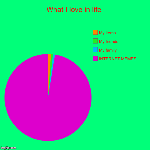 What I love in life | INTERNET MEMES, My family, My friends, My items | image tagged in funny,pie charts | made w/ Imgflip chart maker